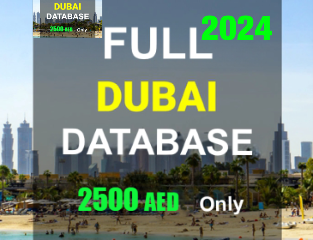 index 2024 dubai